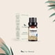 thumbnail image 2 of Aceites Esenciales de Cardamomo Natural UVA para Difusores y Humidificadores, 2 of 6