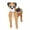 G, variant on Dvkptbk Planting Pot Dog Flower Pot Planter Cute Pvc Herb Garden Dog Flower Pot Indoor/Outdoor Plant Dog Flower Pot Pet Flower Pot Great Gift for Pet Lovers Tools&Home Improvement