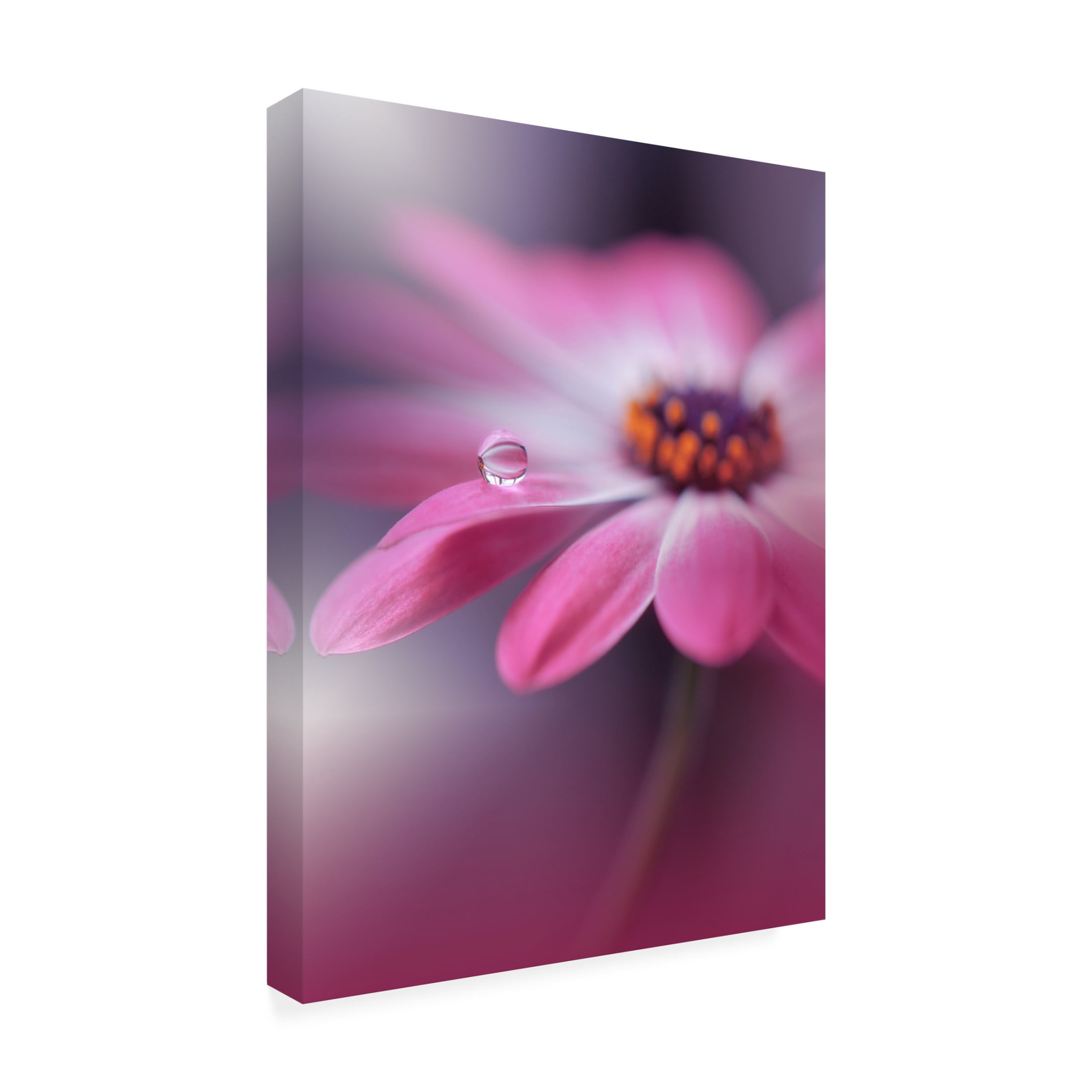 Trademark Fine Art Juliana Nan  Echoes of Hope III Canvas Wall Art