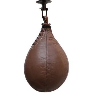 Everlast Boxing Everhide Speed Bag, Medium, Ideal for Speedbag