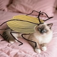 thumbnail image 5 of Diy Cat And Cockroach Costume Kit, Fun Cat Costume Accessories, And A Cockroach Pet Cape Craft Kit—A Gift for Pet Lovers., 5 of 7
