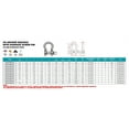 thumbnail image 2 of STAINLESS ANCHOR SHACKLE FS WITH SCREW PIN 5/16" 316NM USA, 2 of 2