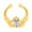 GD, variant on TopLLC Nose Jewelry Clip On Nose Rings For Women Non-Pierced Nose Hoop Adjust Nose Cuff nose ring