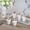 White / 100 Count, variant on Restaurantware-2 Ounce Dessert Cups, 100 Square Appetizer Cups - Disposable, Small Size, White Plastic Dessert Shooters, Sturdy, For Fruits, Parfaits, Or Snacks, Use At Parties, Events