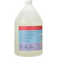 thumbnail image 5 of Ginger Lily Farms Botanicals Plant-Based Liquid Dish Soap, Concentrated Formula with Max Grease Cleaning Power, Cruelty-Free, Apple Pear Scent, 1 Gallon Refill (128 Fl. Oz.), 5 of 6