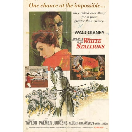 Miracle of the White Stallions POSTER (27x40) (1963)