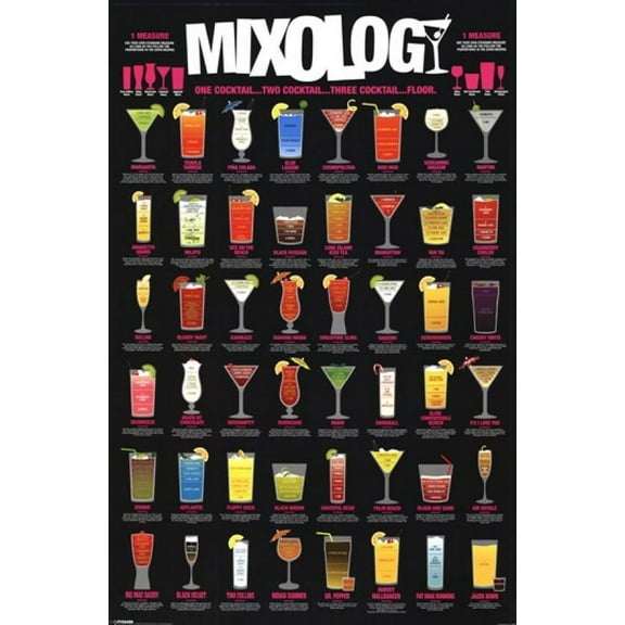 Rolled Poster Mixology Poster Print 24” x 36” Framed