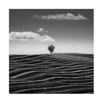 Canvas Wall Art - Thomas De Franzoni 'Empire Of Loneliness' Wall Art for Living Room, Bedroom, or Office D?cor by Trademark Fine Art - 14 x 14 Inches