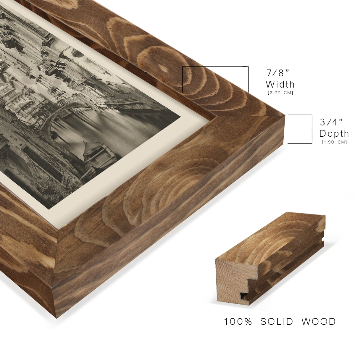 Vintage Views of Venice IV - Framed Print w/glass - Walnut