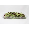 thumbnail image 2 of Inserto Entero 1/1 Policarbonato C Tapa 10Cm Cambro Shorbull Shorbull Resistente, 2 of 3