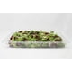 thumbnail image 2 of Inserto Entero 1/1 Policarbonato C Tapa 10Cm Cambro Shorbull Shorbull Resistente, 2 of 3