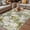 Gray Green Light Green, variant on Palm Leaves Outdoor Rug for Patio/Deck/Porch, Non-Slip Large Area Rug 5 x 7 Ft, Turquoise Tropical Leaf Botanical Retro Spring Indoor Outdoor Rugs Washable Area Rugs, Camping Rug Carpet Runner