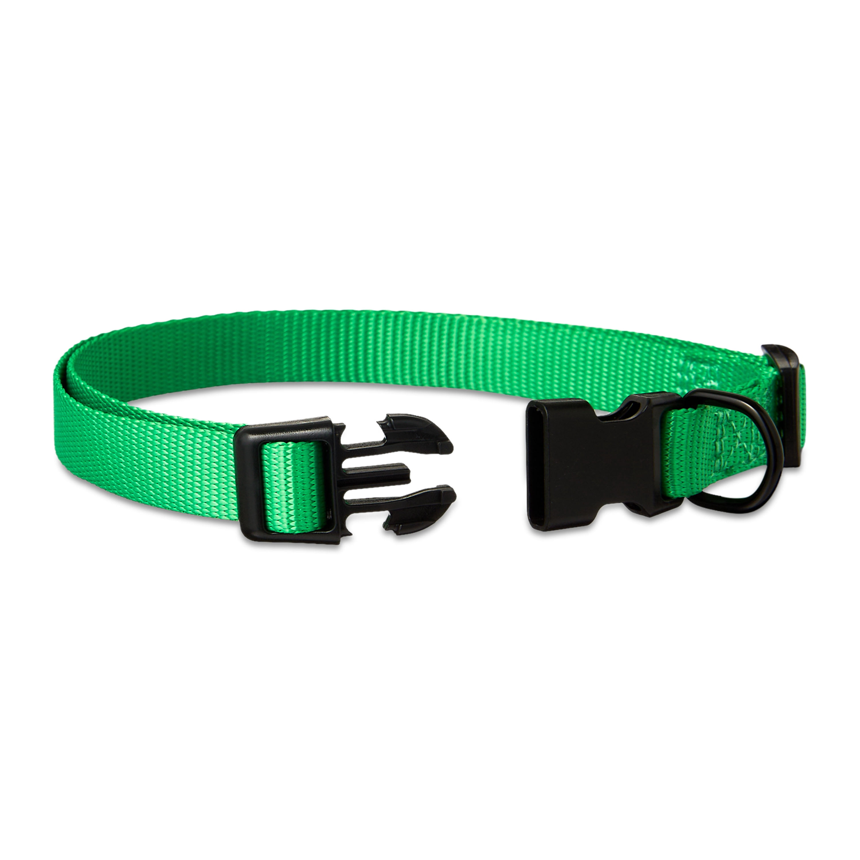 Vibrant Life Polyester Adjustable Dog Collar, Green, M