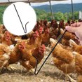 thumbnail image 2 of 1pc Home Pickup Catching Tool Chicken Pick-Up Pole Stick Catching Pole, 2 of 8
