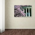 thumbnail image 3 of Trademark Fine Art 'Jefferson Blossoms' Canvas Art by Mitch Catanzaro, 3 of 3