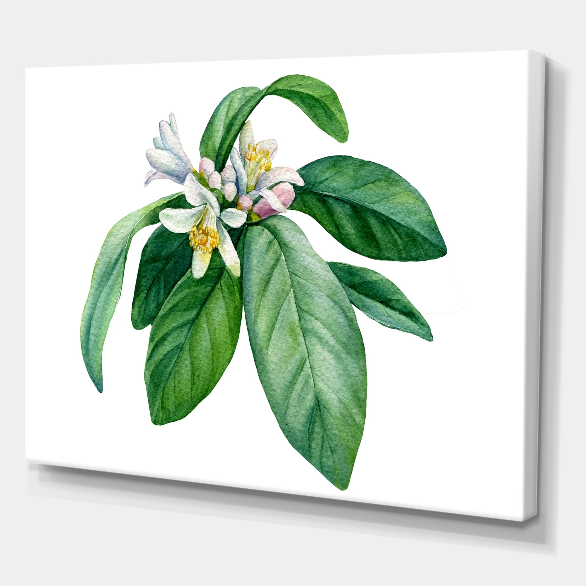 Designart ' Flowering Mandarin With Branch ' Traditional Canvas Wall Art Print