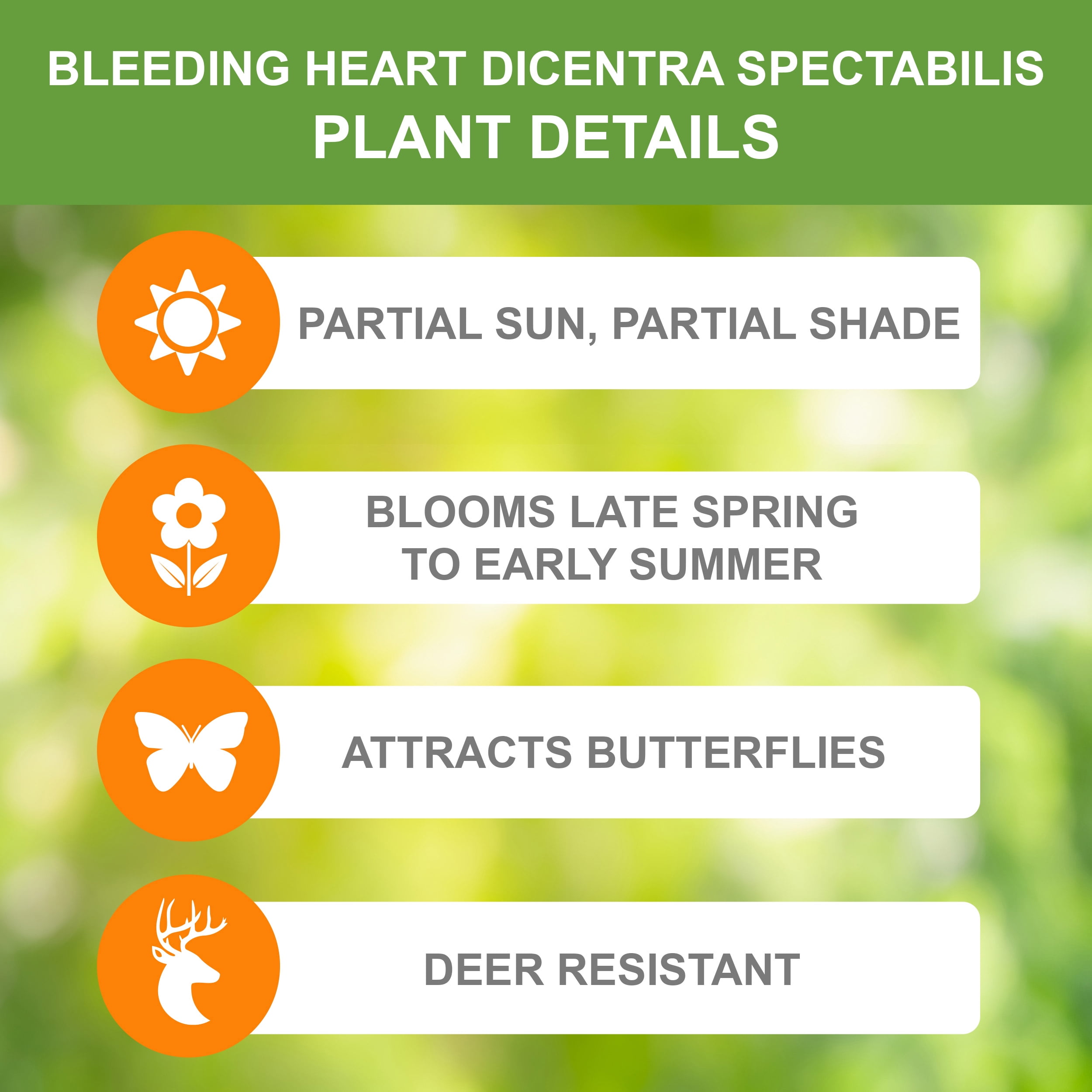 Garden State Bulb Bleeding Heart Dicentra Spectabilis, Bare Roots, Spring Planting (Bag of 18)
