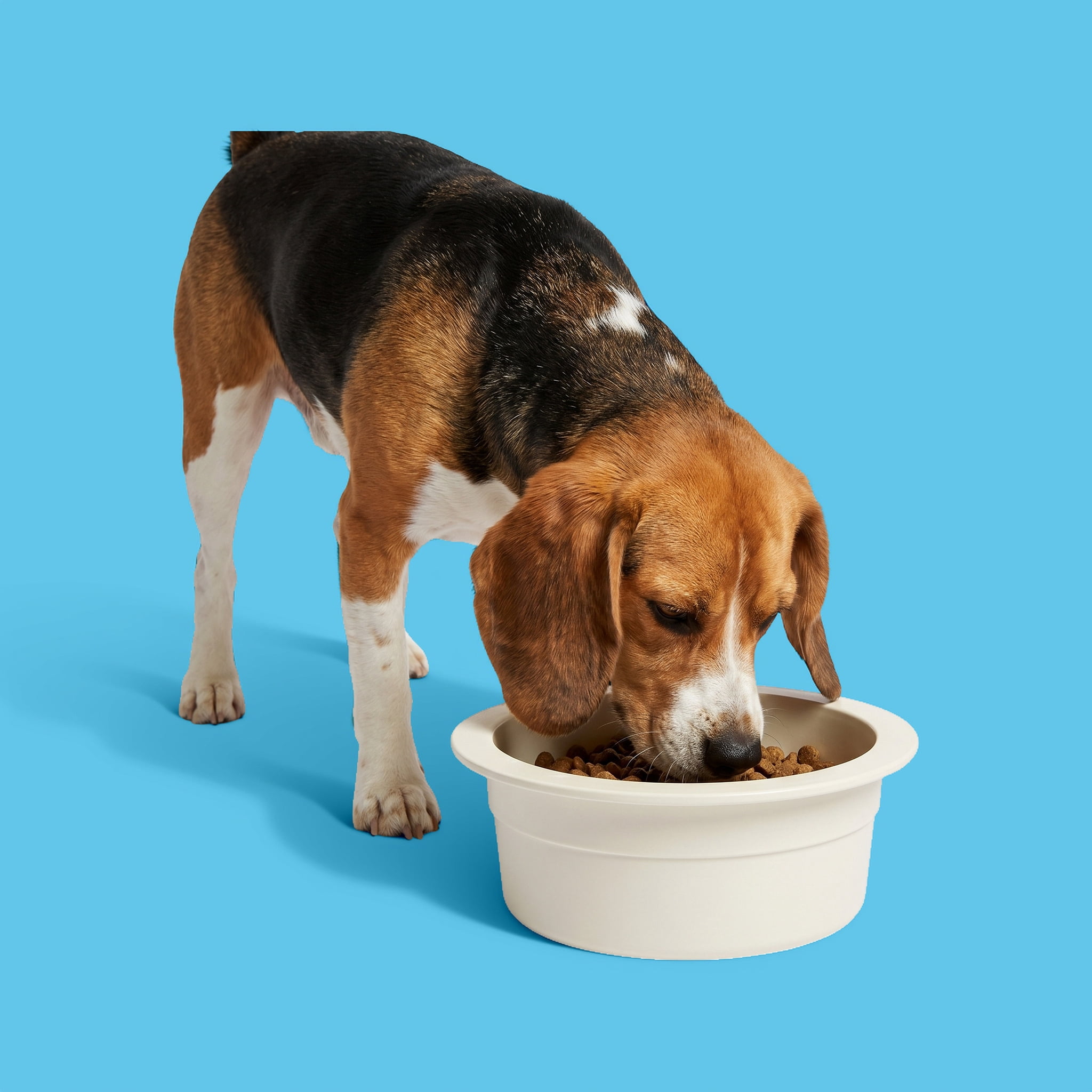 (3 pack) Vibrant Life 6.5-Cup Medium Crock Pet Bowl, Light Beige