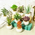 thumbnail image 3 of Fake Succulent Plant Set - Artificial Succulent Plants for Women Desk - Realistic Faux Succulents in Ceramic Planter Pots - Mini Purple Succulent Decor for Bedroom, 3 of 8