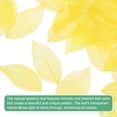 thumbnail image 2 of 100-Pack Skeleton Leaves, Natural Rubber Tree Dried Pressed Leaves Vein [8-9cm, Dark and Light Yellow], 2 of 6