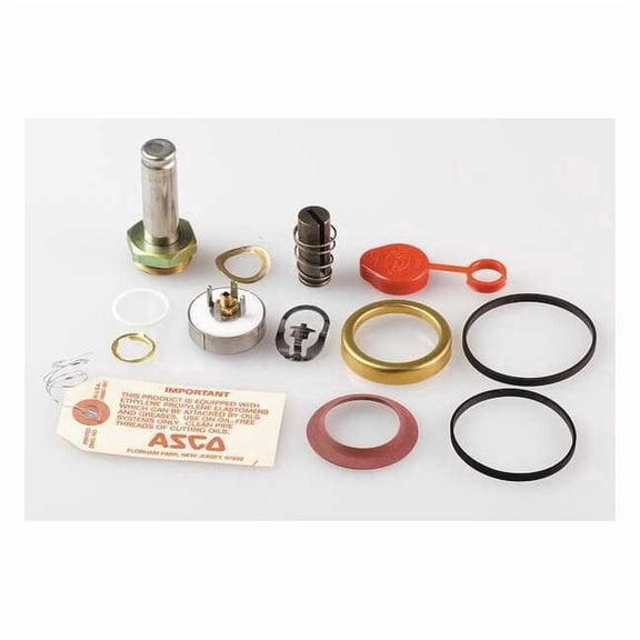 Asco Valve Rebuild Kit,With Instructions 312702
