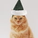 thumbnail image 3 of 1 Juego de Adorable cascabel navideño para mascotas, Collar decorativo para mascotas, gatos y perros, 3 of 5