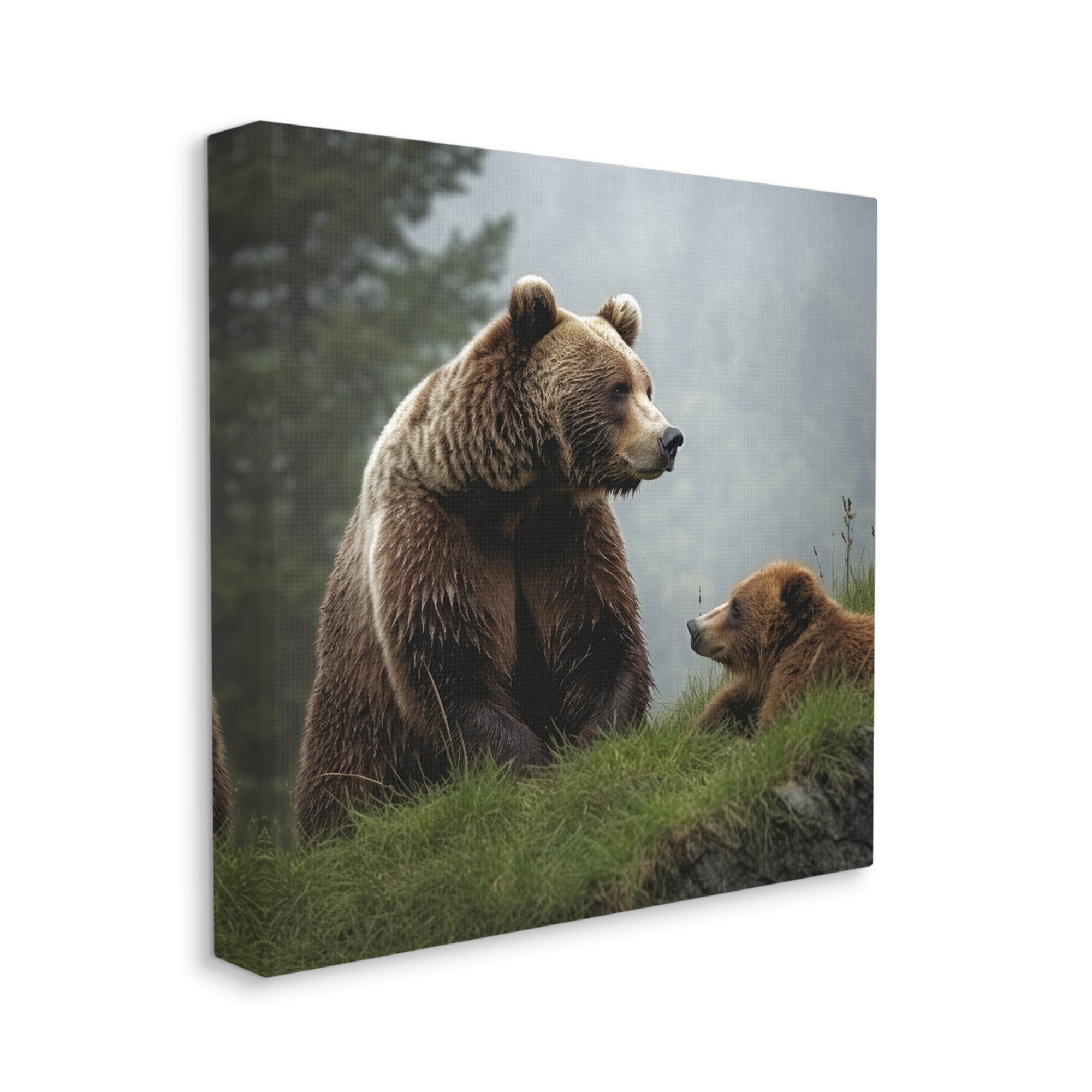 Stupell Industries Bear & Cub Relaxing Animals & Insects Painting Gallery Wrapped Canvas Art Print Wall Art, 17 x 17