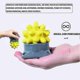 thumbnail image 4 of Portable Hedgehog Massage Ball for Muscle Therapy, 4 of 4