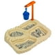 thumbnail image 1 of Juego de vajilla KidsFunWares T-Rex Excavation Plate Durable, 1 of 9