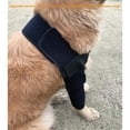 thumbnail image 2 of Stabilizing Pet Leg Brace for Dogs Post-Sterilization Surgery Injury Recovery Joint Support Adjustable Sleeve, 2 of 17