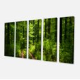 thumbnail image 2 of Fascinating Greenery in Wild Forest - Forest Canvas Art Print, 2 of 3