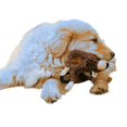 thumbnail image 3 of Pet Dog Animals Cashmere Core Toy, Dogs Durable and Non-toxic Chew Toy, Cow, Monkey, 3 of 3