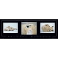 thumbnail image 2 of Unknown 18x9 Black Ornate Wood Framed with Double Matting Museum Art Print Titled - Polar Bears Tryp, 2 of 4