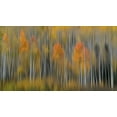 thumbnail image 2 of Austin 18x12 White Modern Wood Framed Museum Art Print Titled - Fall Impression #2, 2 of 4
