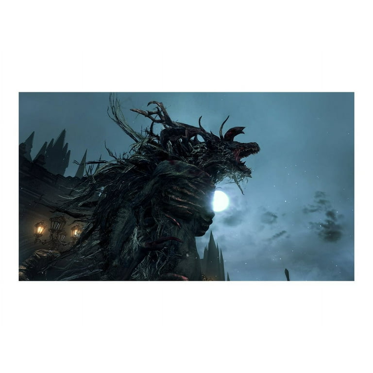 Bloodborne: Game Of The Year Edition [PlayStation 4] 