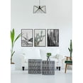 thumbnail image 4 of Vintage Cacti Triptych, 4 of 6