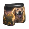 thumbnail image 3 of Daiia Sunset Daisy Dog Men's Underwear Boxer Briefs, Cotton Stretch Moisture-Wicking Underwear-X-Large, 3 of 9