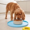 thumbnail image 6 of Round Silicone Pet Food Mat - Waterproof Dog & Cat Feeding Mat with High Lip to Prevent Spills & Protect Floors (Blue, 7''Dia), 6 of 6