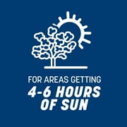 Pennington Kentucky Bluegrass Northern Grass Seed Mix for Sun to Partial Shade, 7 lb
