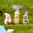 thumbnail image 3 of Rabbit Figures 16 Pcs Lovely Bunny Figurines Playset Rabbit Character Set Cake Topper Decoration Miniature Garden Animal Decoration Gift For Kid, 3 of 5