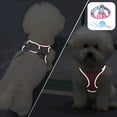 thumbnail image 1 of Soft Mesh Step In Dog Harness And Leash Set With Reflective Bands For Secure Walking Comfort Adjustable No Pull Pet Supplies For Small Dogs And Cats, 1 of 5