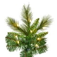 thumbnail image 2 of Vickerman 9' x 57" Brighton Pine Artificial Christmas Tree with Warm White Dura-lit LED Lights, 2 of 5