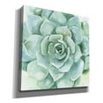thumbnail image 2 of Epic Graffiti 'Verdant Succulent I' by Victoria Borges, Canvas Wall Art, 12"x12", 2 of 2