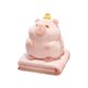 thumbnail image 4 of Carpincho de peluche de juguete, muñeco de carpincho de peluche, almohada de felpa de carpincho encantadora acurrucada Rosa con manta, 4 of 9