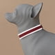thumbnail image 4 of Collar reflectante para perros con hebilla ajustable Collares de nailon de seguridad para perros pequeños, medianos y grandes, rojo, 4 of 4