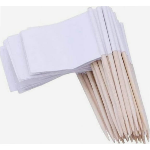 Blank Toothpick Flags Paper Flag Disposable Toothpick Flag White Mini Topper Flags Sticks for Cake Markers Cupcake Burger 100PCS.