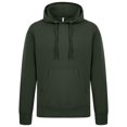 thumbnail image 1 of Casual Classics - Sudadera para Hombre (Verde Bosque), 1 of 3