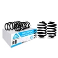 thumbnail image 1 of Resortes Originales AG para Auto Completo para Nissan Platina 2002 a 2010 4 Piezas Nuevos, 1 of 5