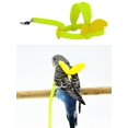 thumbnail image 5 of Ajustable Anti mordedura banda voladora cuerda de tracción loro pájaro mascota correa para actividades al aire libre, 5 of 5