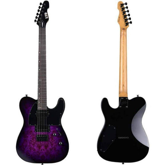 ESP LTD TE-200DX Electric Guitar - Purple Burst